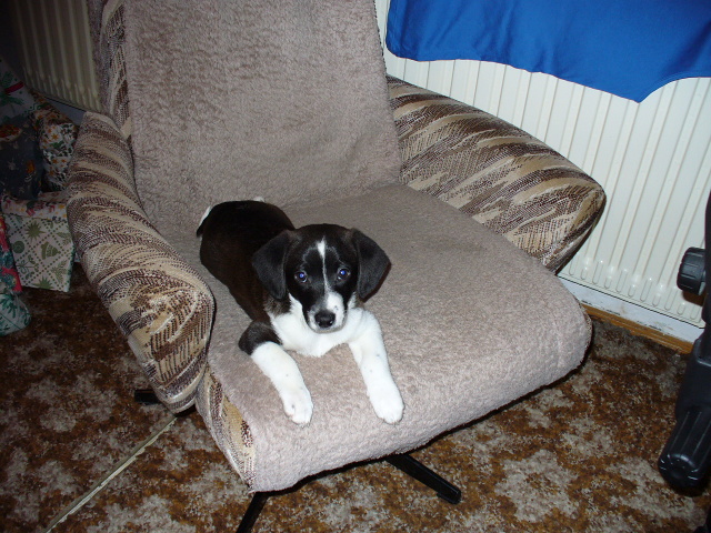 P1000305.jpg